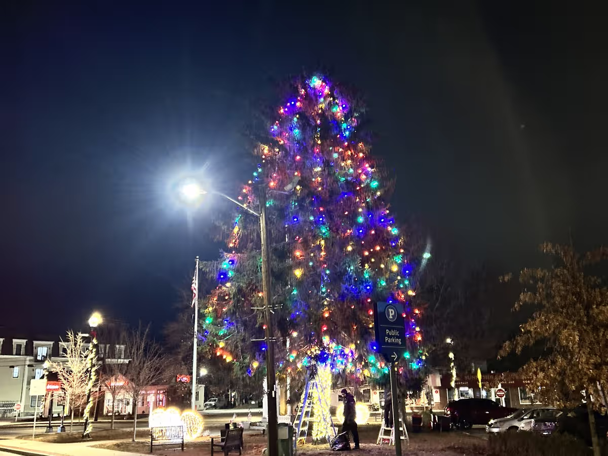 Town Common Christmas Tree Ma — Massachusetts