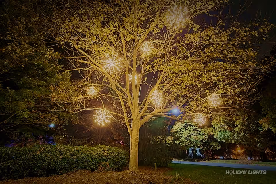 Spritzers Decoration Tree Holiday - Holiday Lights MA