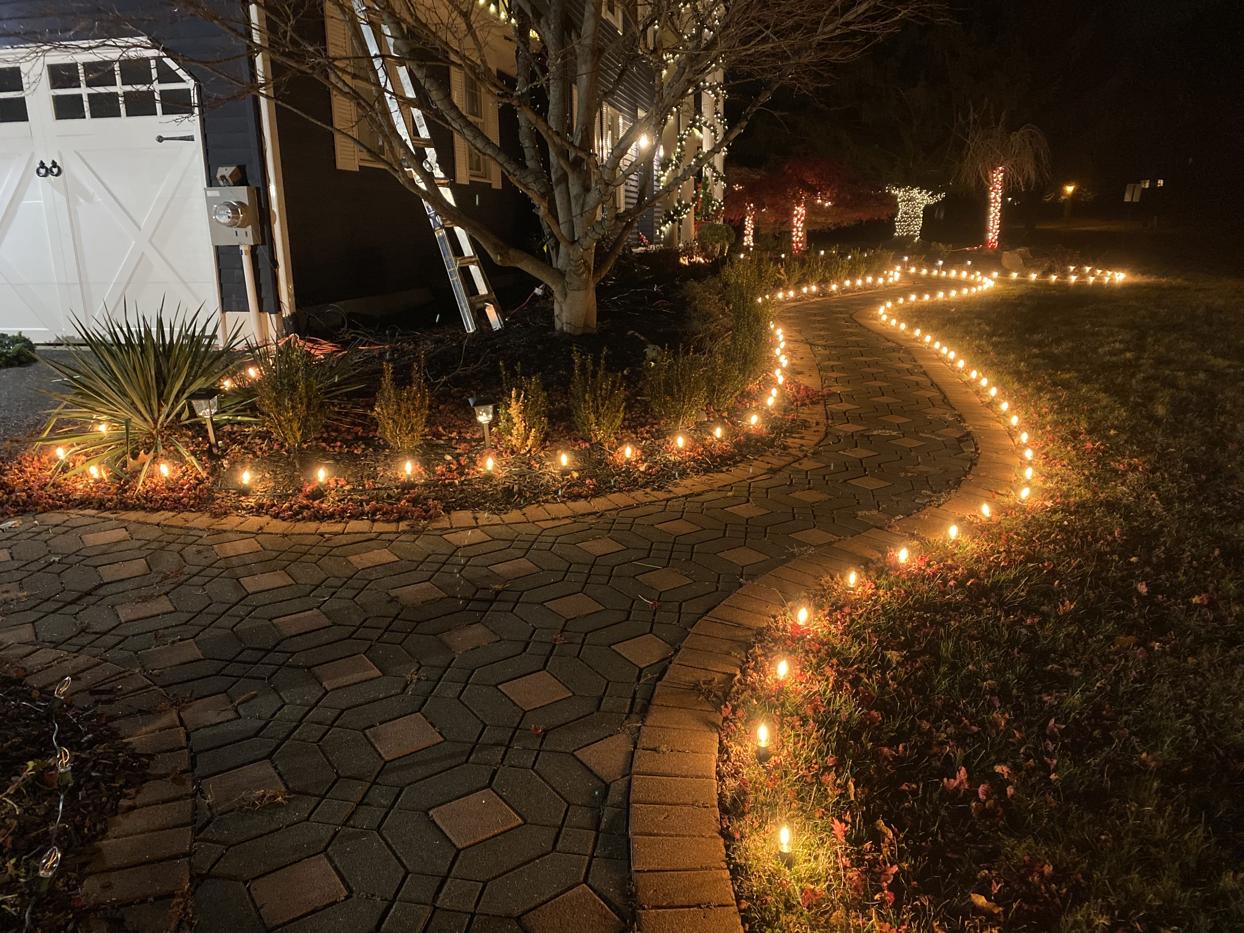 Custom holiday design for Lexington property