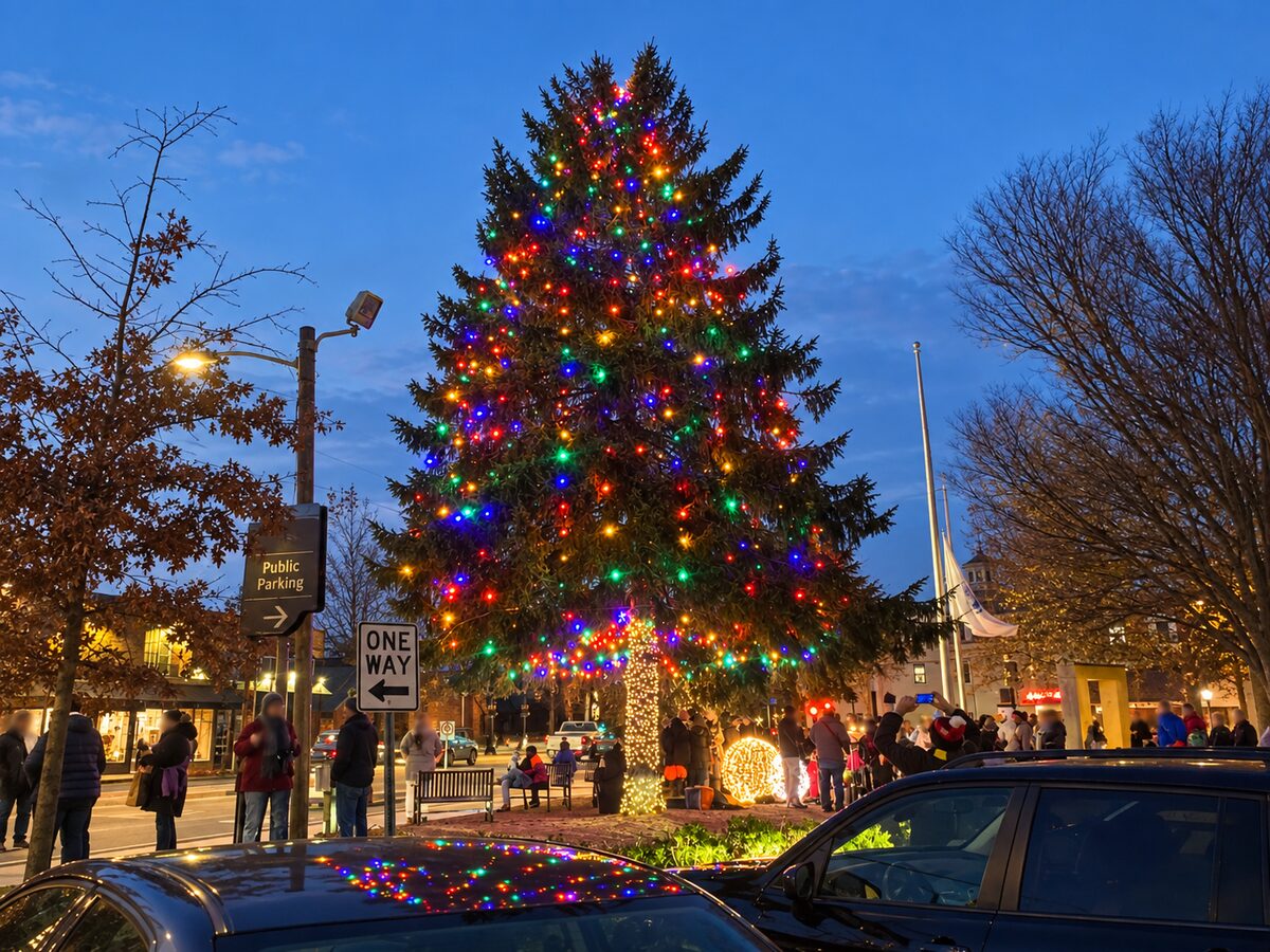 Completed multicolor tree and illuminated spheres surrounded by visitors at dusk.