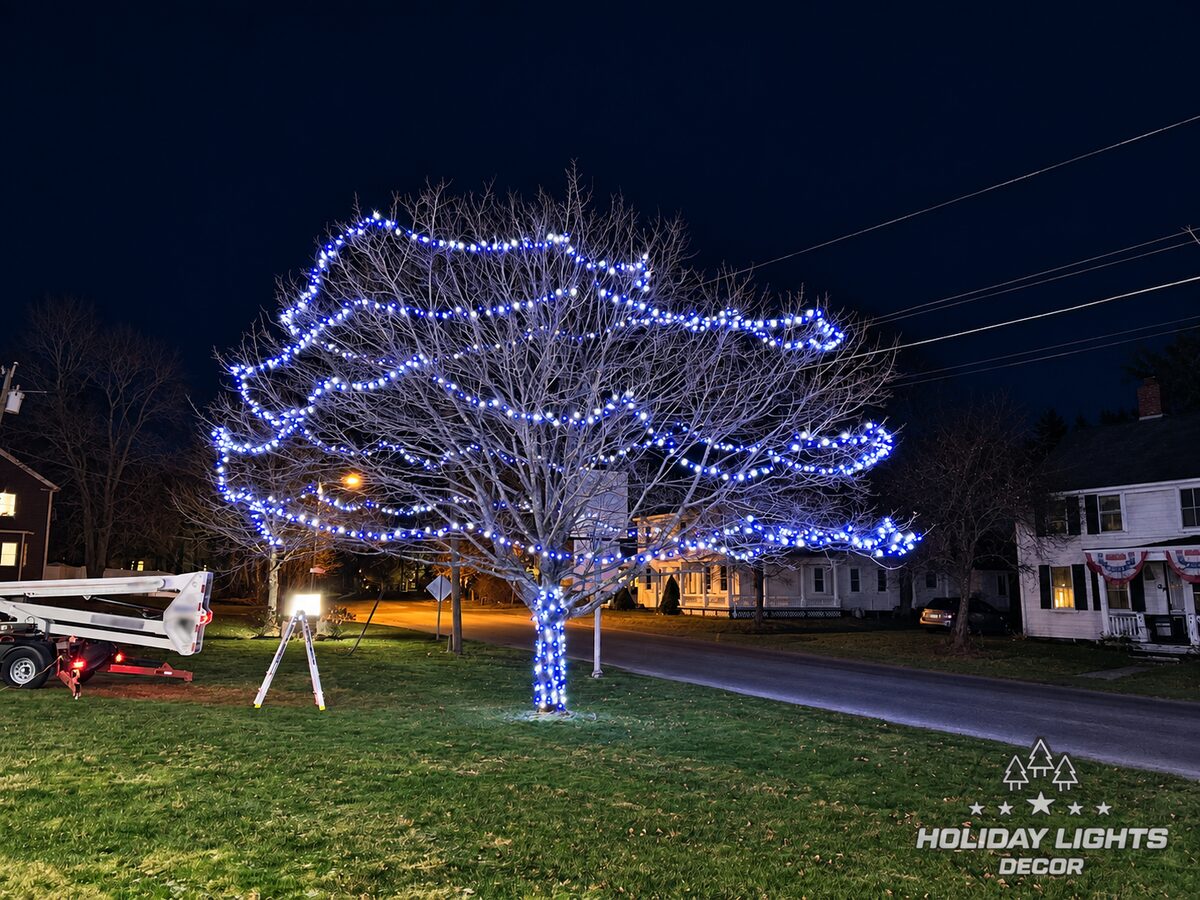 Large landscape tree with the trunk, branches, and canopy wrapped in blue and white mini lights.