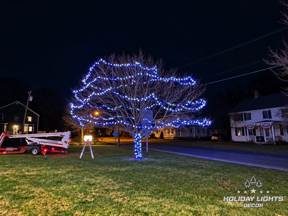 Wide nighttime view of the completed illuminated tree.